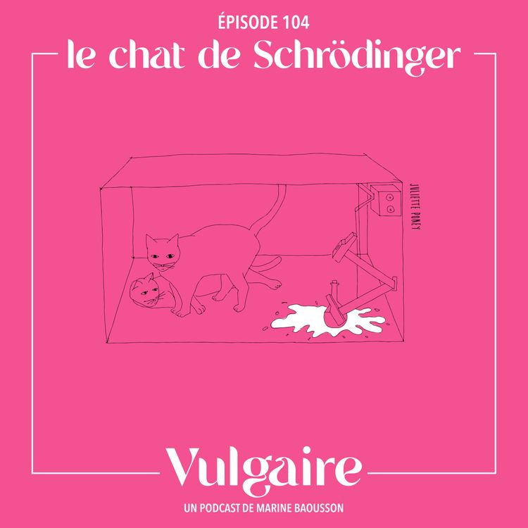 cover art for LE CHAT DE SCHRÖDINGER