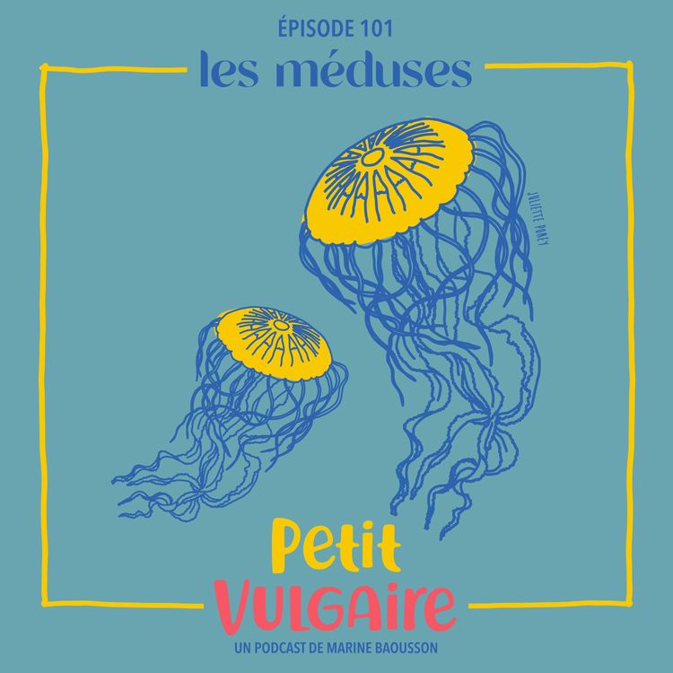 cover art for LES MÉDUSES