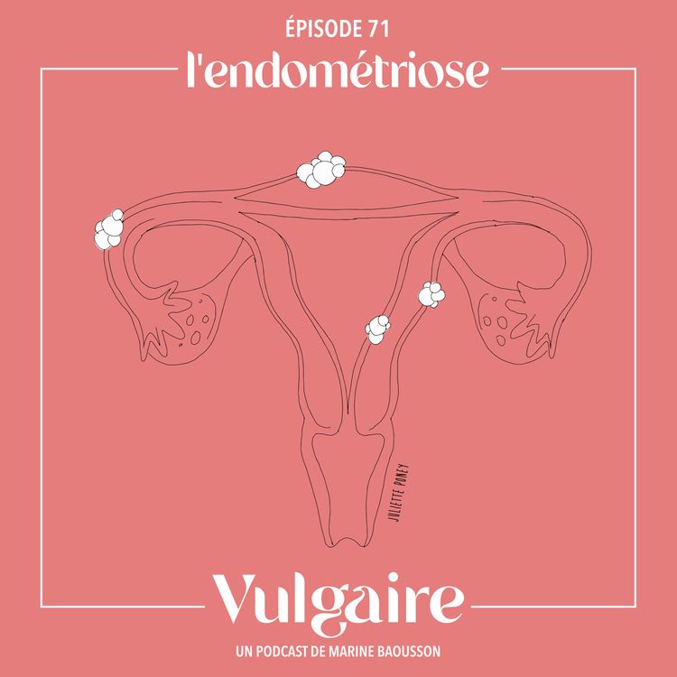 cover art for L'ENDOMÉTRIOSE