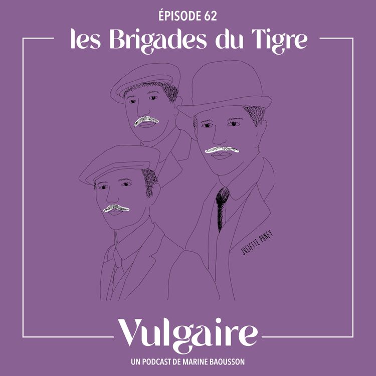 cover art for LES BRIGADES DU TIGRE