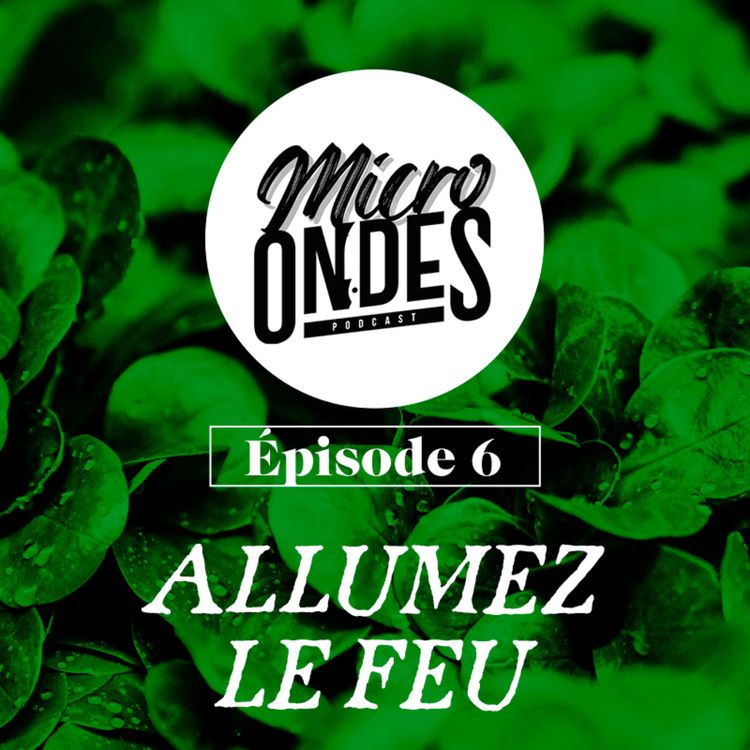 cover art for Micro Ondes - Allumez le feu