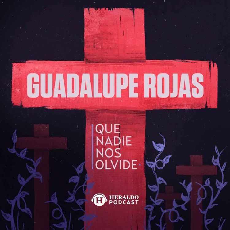 cover art for 50. Feminicidio de Guadalupe Rojas | Que Nadie Nos Olvide