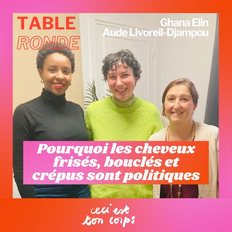 cover art for Pourquoi les cheveux frisés, bouclés et crépus sont politiques