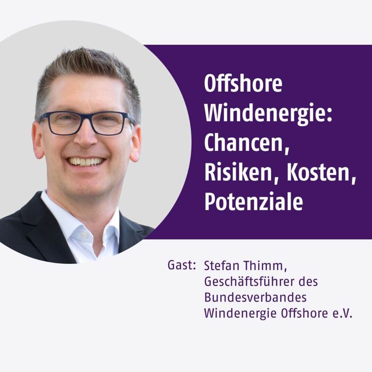 cover art for Offshore Windenergie: Chancen, Risiken, Kosten, Potenziale
