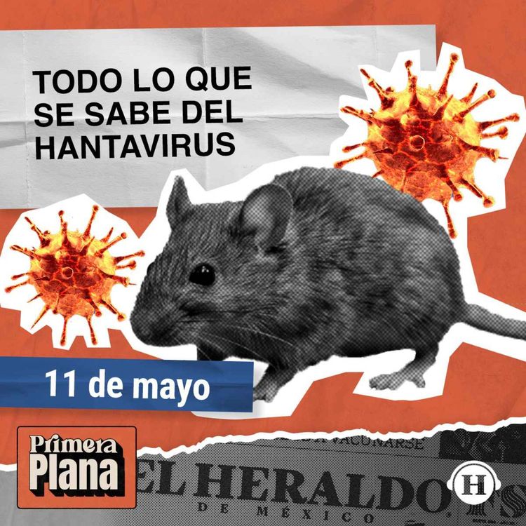 cover art for Hantavirus: Autoridades mundiales aplican protocolos estrictos