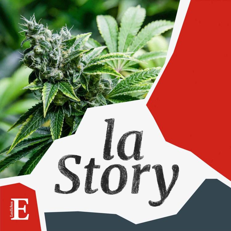 cover art for CBD, un juteux marché en zone grise