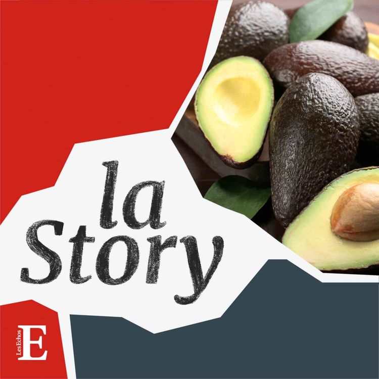cover art for L’avocat, un trésor vert