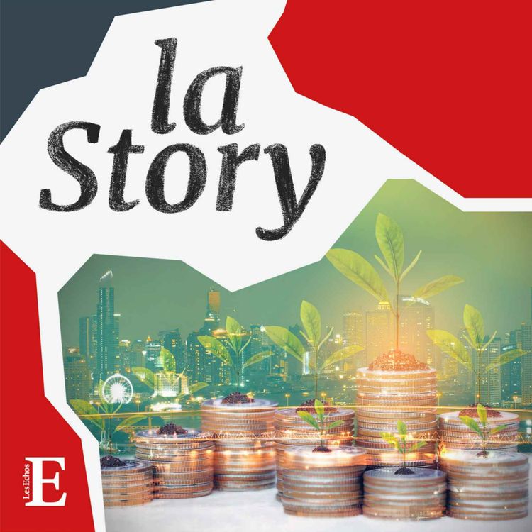 cover art for La finance verte est-elle un leurre ?