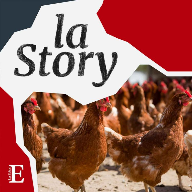 cover art for Comment les Jolies Rousses ont conquis Twitter