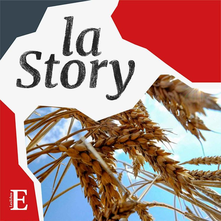 cover art for InVivo et Soufflet : un mariage céréalier