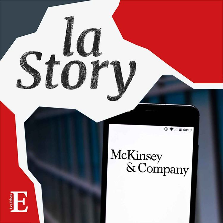 cover art for McKinsey, une affaire électorale