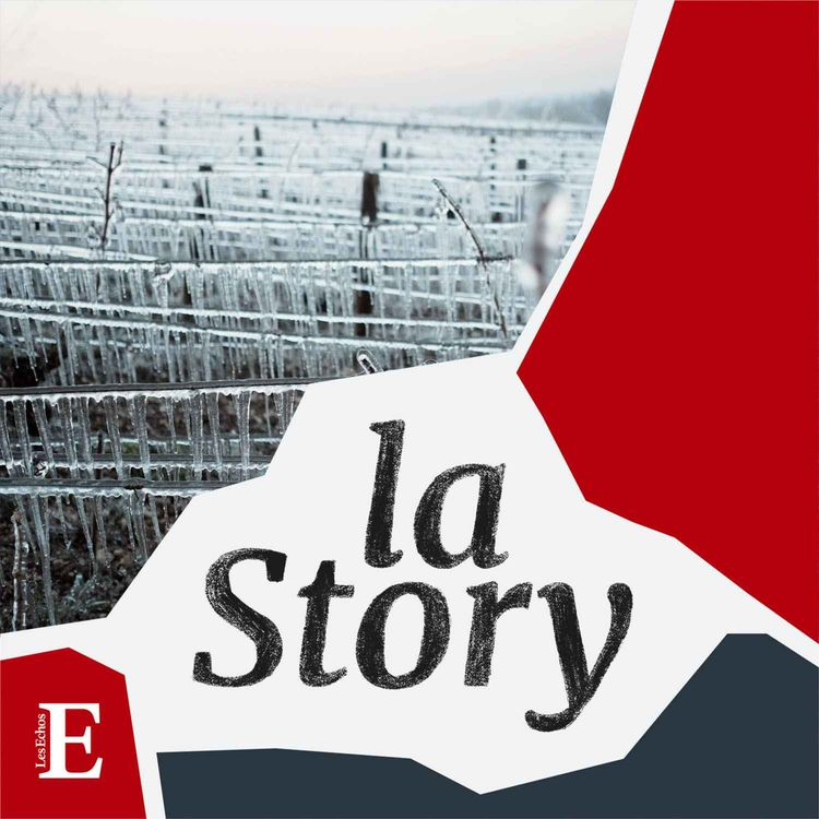 cover art for Comment dégeler l’assurance agricole ?