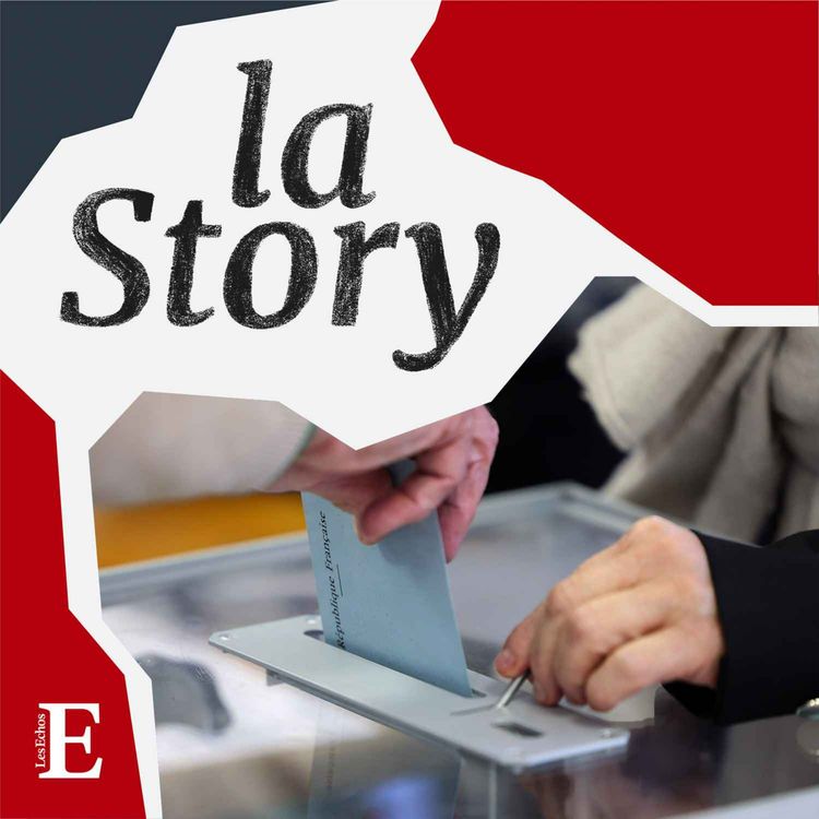 cover art for Dans la fabrique des sondages