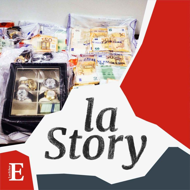 cover art for Police financière : dans les secrets des limiers de l'argent