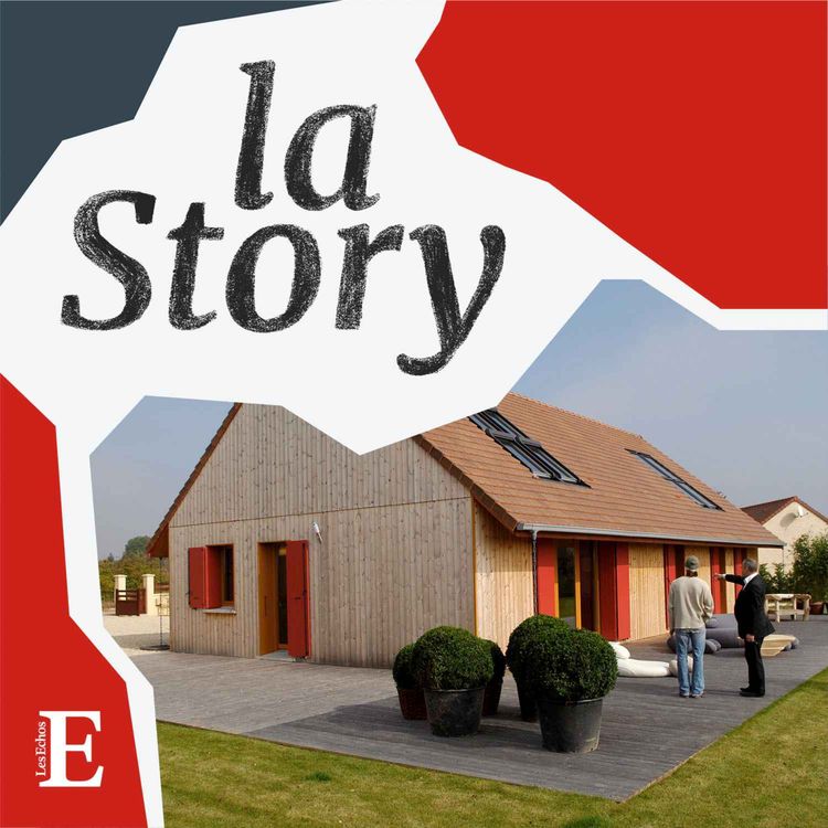 cover art for Maison Phénix, vie et mort d’un rêve français