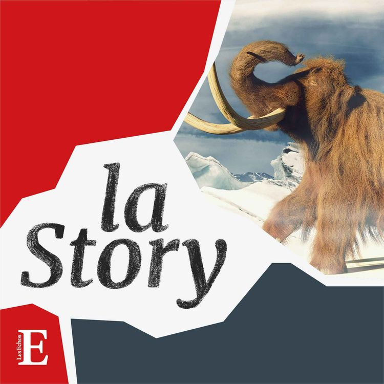 cover art for Faut-il ressusciter le mammouth ?