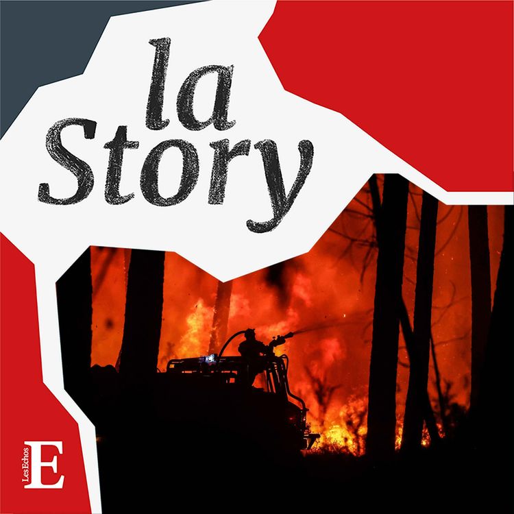 cover art for Incendies, l’été meurtrier des forêts