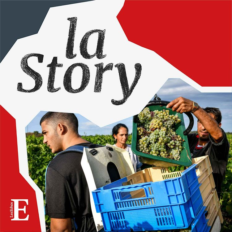 cover art for Vendanges 2022 : le vin sous la pression du climat