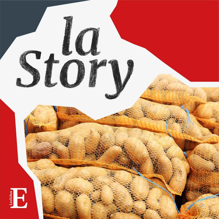 cover art for Fini le supplément frites ?