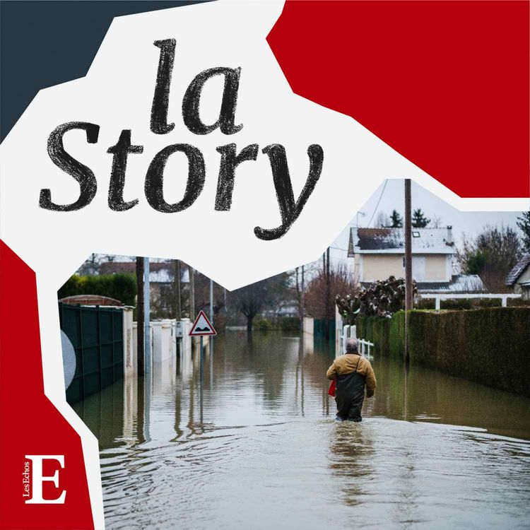 cover art for COP 27 : le coût du risque climatique