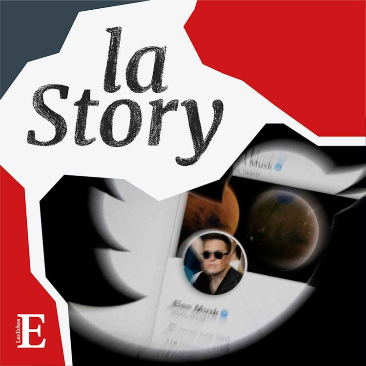 cover art for Twitter, les bêtises d’Elon Musk