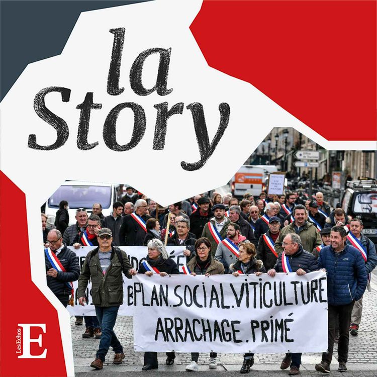 cover art for Le spleen du vin de Bordeaux (1/2)