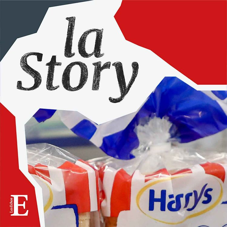 cover art for Harrys à la conquête du pays de la baguette