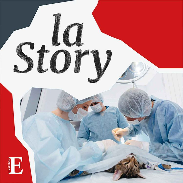 cover art for Soins vétérinaires : un marché en expansion, un métier en souffrance