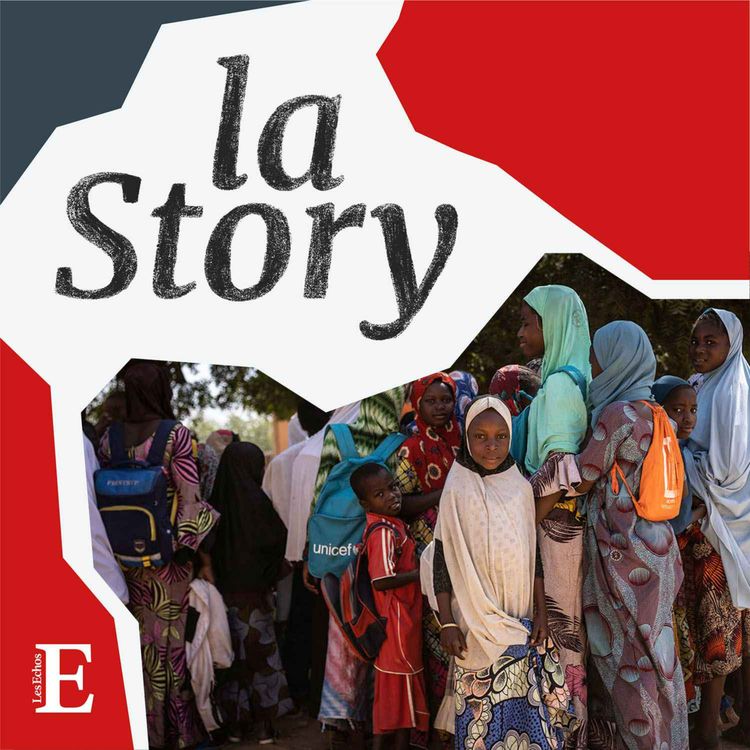 cover art for Le Niger au défi d'une natalité record