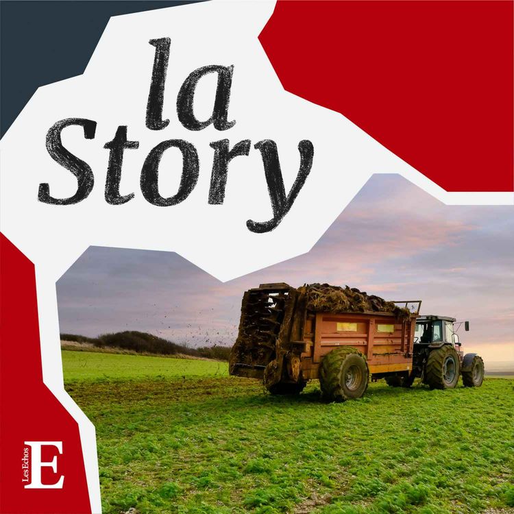 cover art for Les papys braqueurs