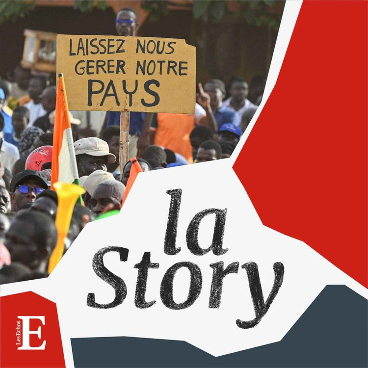 cover art for Afrique, le rejet de la France