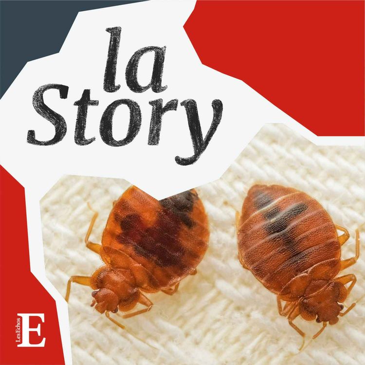 cover art for Punaises de lit, la bonne mauvaise affaire !