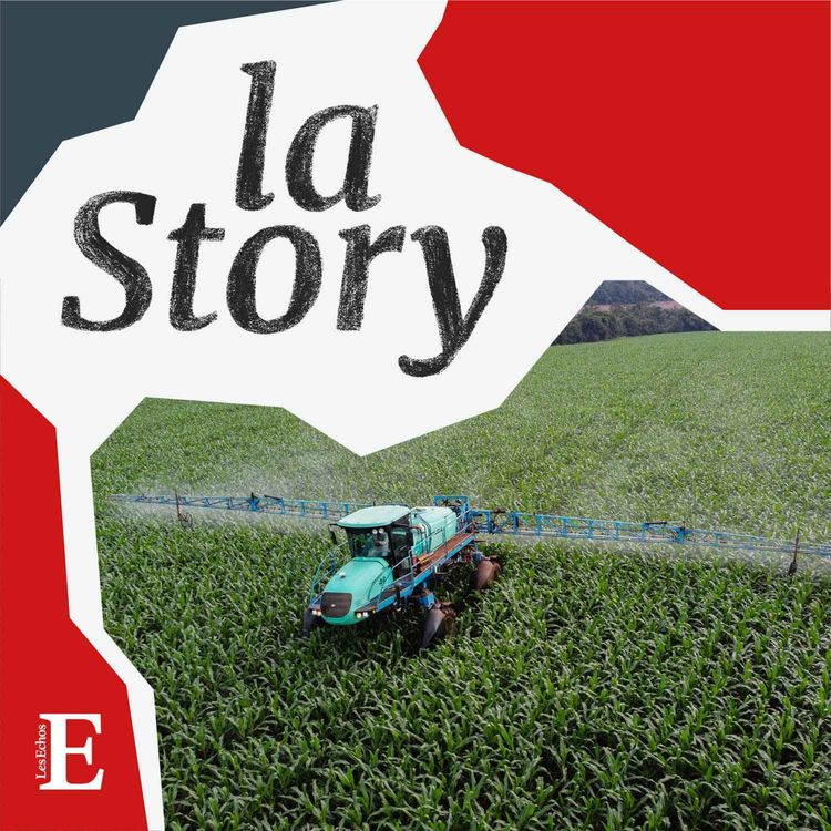 cover art for COP28 : le Brésil peut-il freiner la déforestation