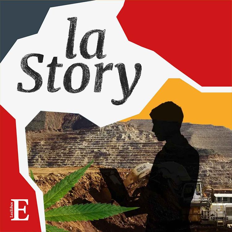 cover art for Arnaque, mine et botanique