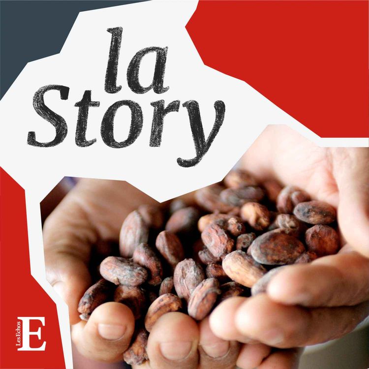 cover art for Pourquoi le cacao flambe