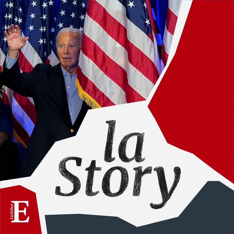 cover art for Biden, le naufrage ?