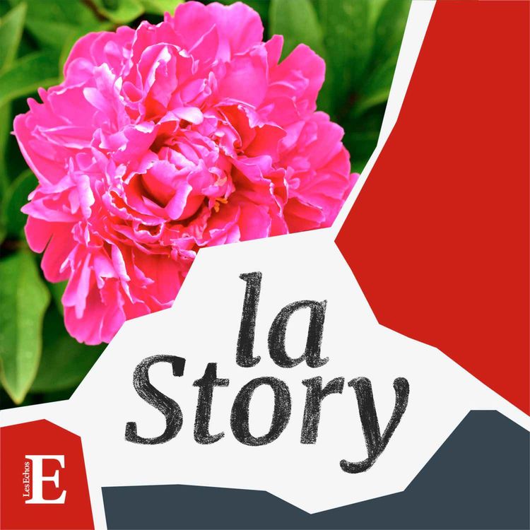 cover art for Inflation, sécheresse, pesticides : Les défis de la fleur française