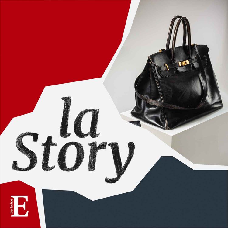 cover art for Birkin, l’affaire est dans le sac pour Hermès