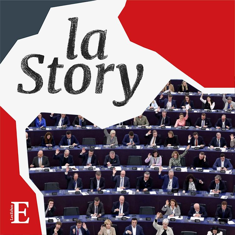 cover art for Mais à quoi servent donc les députés européens ? - 1/2