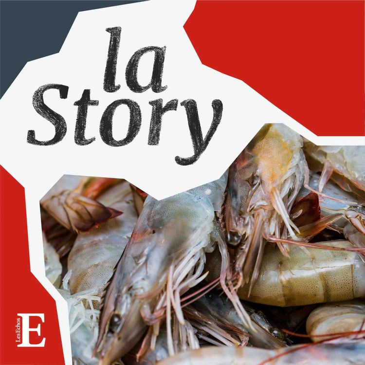 cover art for Dans les abysses des mafias de la pêche illégale - 3/6