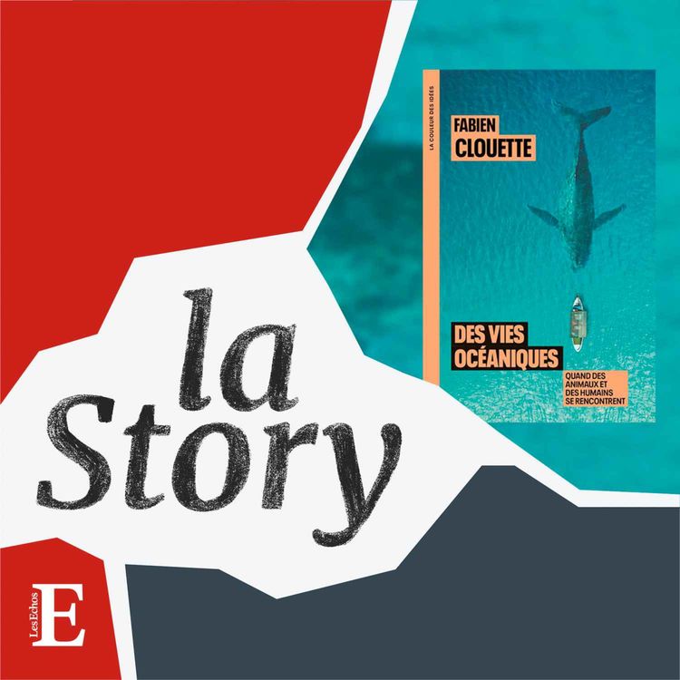 cover art for Animaux marins : les leçons d'un sauvetage - 6/6