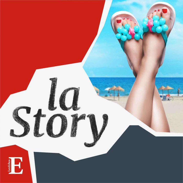 cover art for Les Français sont-ils fainéants ? 