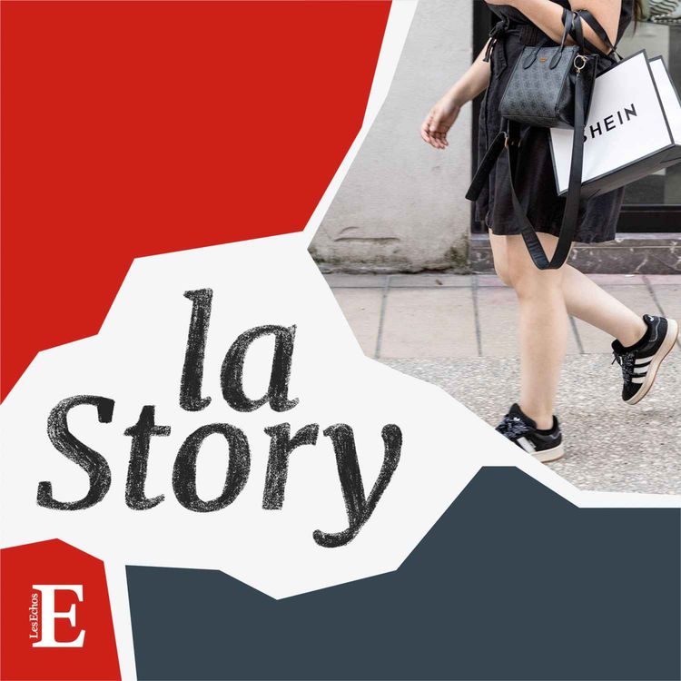 cover art for BHV-Pimkie : la bataille de Shein est lancée