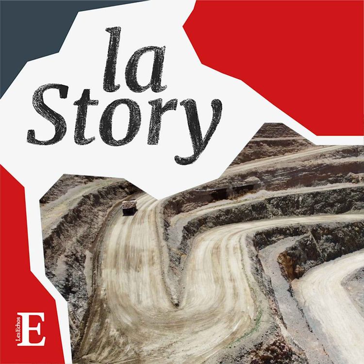 cover art for La bataille pour les terres rares aura bien lieu 