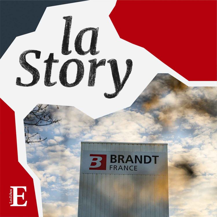 cover art for Brandt : la chute d'un fleuron français