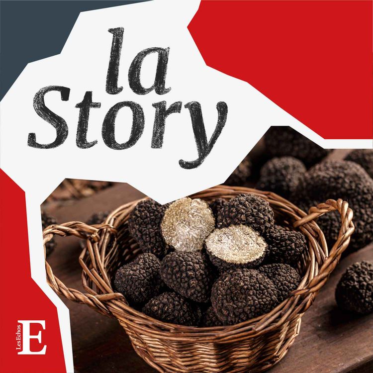 cover art for Pourquoi le marché français de la truffe se porte mal