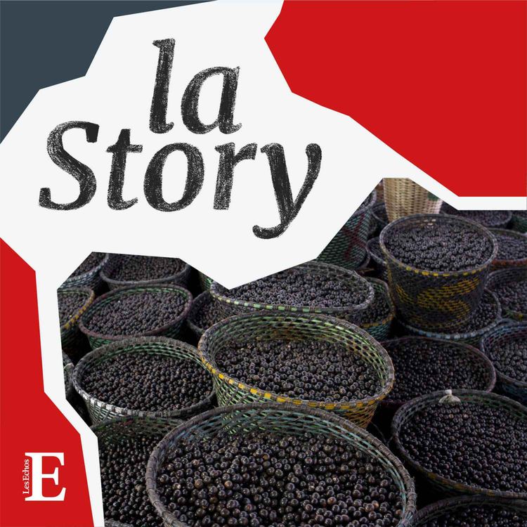 cover art for Açaï : comment cet aliment de la cuisine brésilienne séduit Instagram et les magasins bio