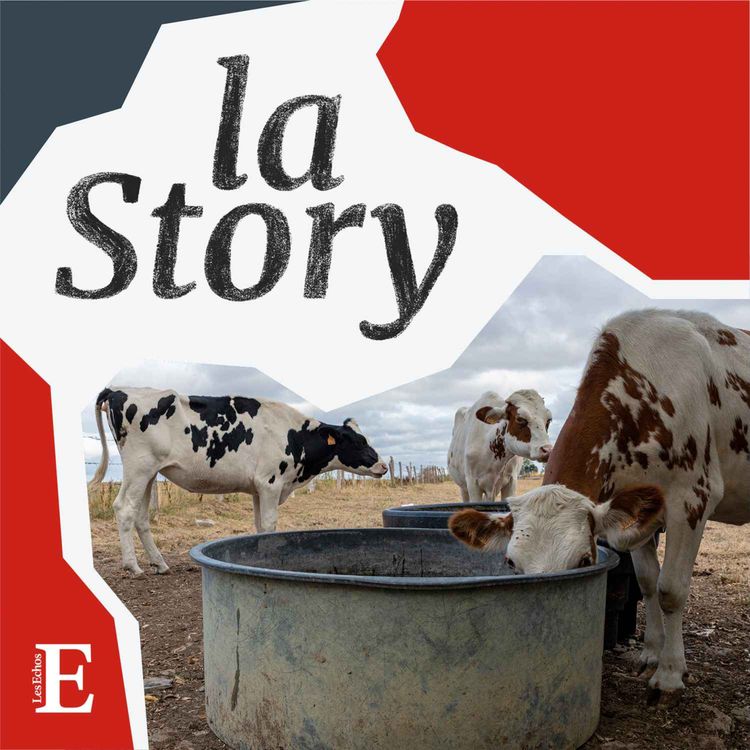 cover art for Les agriculteurs face à la sécheresse (1/2) : mesurer les dégâts