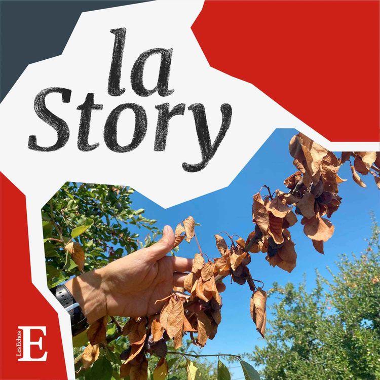cover art for Les agriculteurs face à la sécheresse (2/2) : les producteurs de pruneaux d'Agen s'adaptent