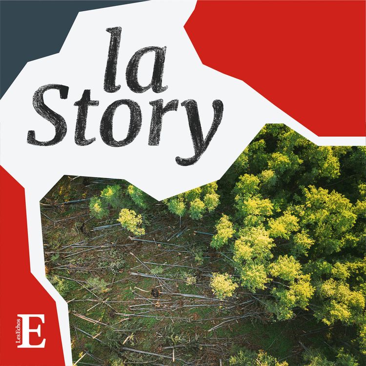 cover art for Comment va réellement la forêt ?